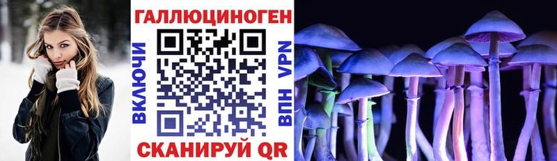 Псилоцибиновые грибы GOLDEN TEACHER  гидра как войти  Карабаново 