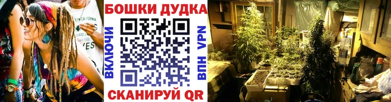 Марихуана сатива  Карабаново 